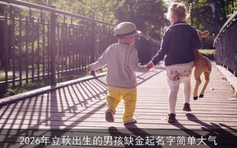 2026年立秋出生的男孩缺金起名字简单大气