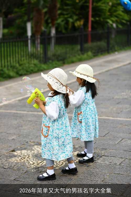 2026年简单又大气的男孩名字大全集