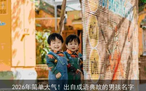 2026年简单大气！出自成语典故的男孩名字