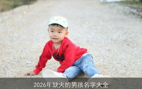 2026年缺火的男孩名字大全