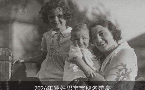 2026年罗姓男宝宝取名带豪