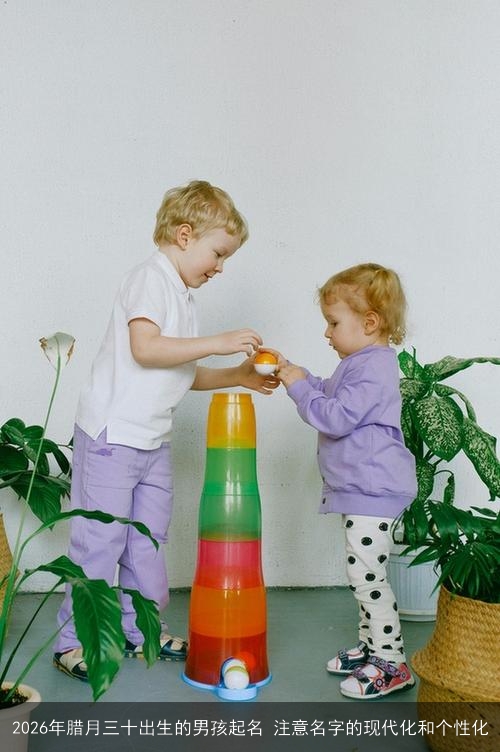 2026年腊月三十出生的男孩起名 注意名字的现代化和个性化