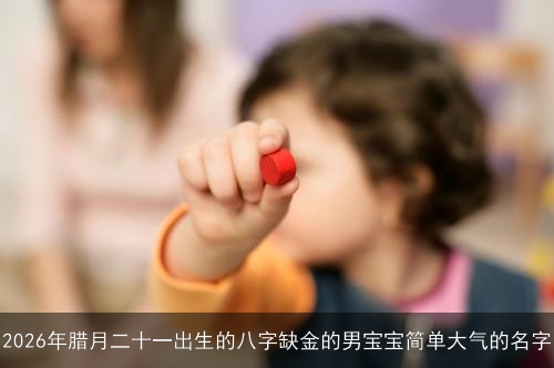 2026年腊月二十一出生的八字缺金的男宝宝简单大气的名字
