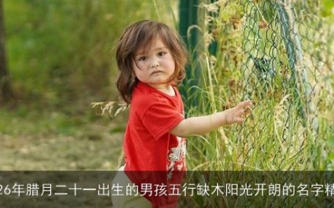 2026年腊月二十一出生的男孩五行缺木阳光开朗的名字精选