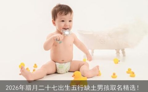 2026年腊月二十七出生五行缺土男孩取名精选！