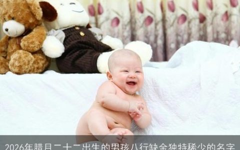 2026年腊月二十二出生的男孩八行缺金独特稀少的名字