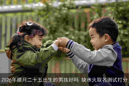 2026年腊月二十五出生的男孩好吗 缺水火取名测试打分