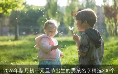 2026年腊月初十元旦节出生的男孩名字精选300个
