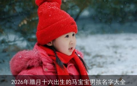 2026年腊月十六出生的马宝宝男孩名字大全