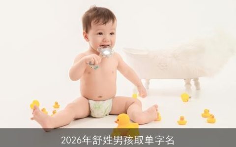 2026年舒姓男孩取单字名