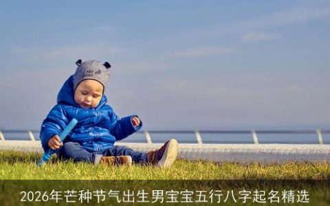 2026年芒种节气出生男宝宝五行八字起名精选