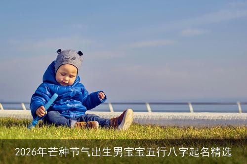 2026年芒种节气出生男宝宝五行八字起名精选