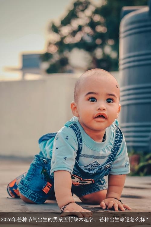 2026年芒种节气出生的男孩五行缺木起名，芒种出生命运怎么样？