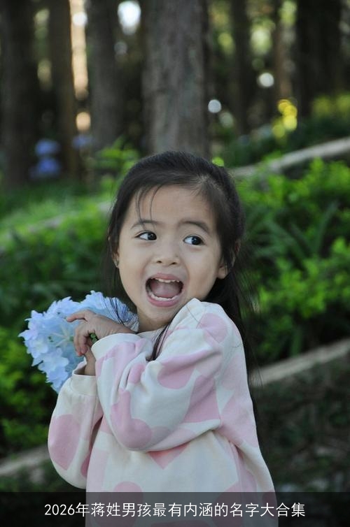 2026年蒋姓男孩最有内涵的名字大合集