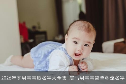 2026年虎男宝宝取名字大全集 属马男宝宝简单潮流名字
