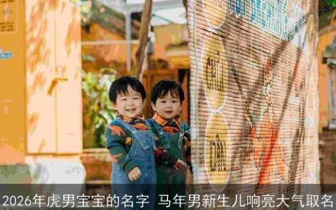 2026年虎男宝宝的名字 马年男新生儿响亮大气取名