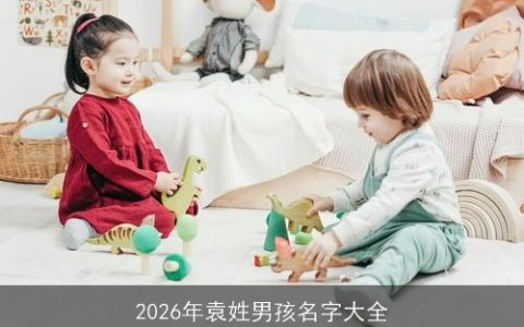 2026年袁姓男孩名字大全