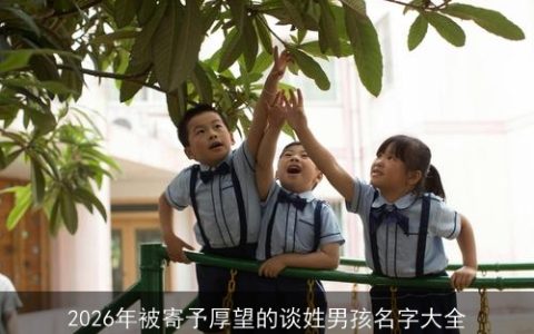 2026年被寄予厚望的谈姓男孩名字大全
