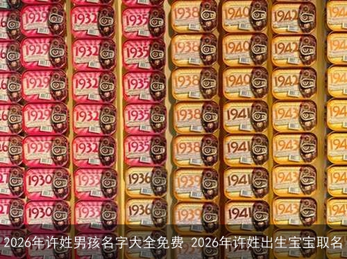 2026年许姓男孩名字大全免费 2026年许姓出生宝宝取名