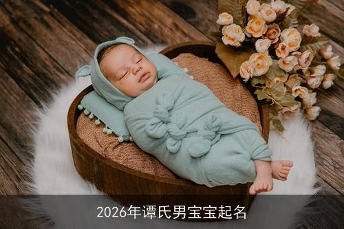 2026年谭氏男宝宝起名