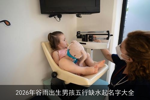 2026年谷雨出生男孩五行缺水起名字大全