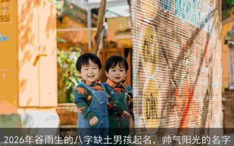 2026年谷雨生的八字缺土男孩起名，帅气阳光的名字