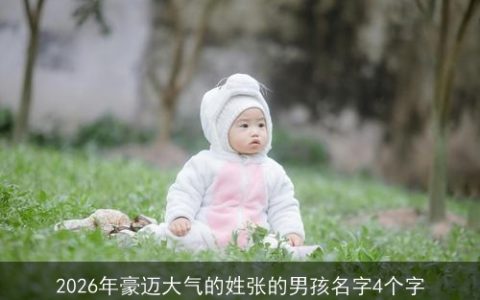 2026年豪迈大气的姓张的男孩名字4个字