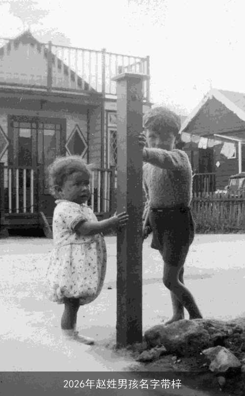 2026年赵姓男孩名字带梓