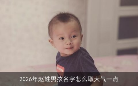 2026年赵姓男孩名字怎么取大气一点