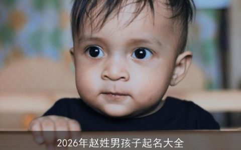 2026年赵姓男孩子起名大全