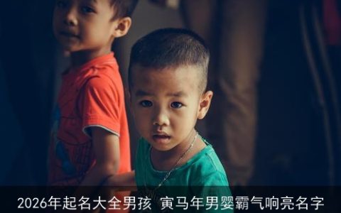 2026年起名大全男孩 寅马年男婴霸气响亮名字