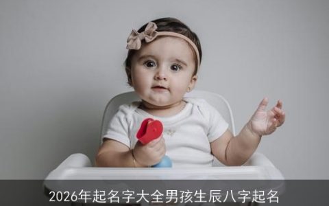 2026年起名字大全男孩生辰八字起名