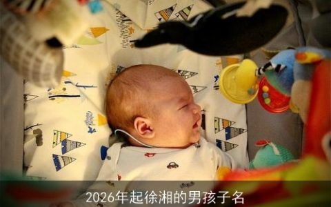 2026年起徐湘的男孩子名
