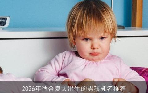 2026年适合夏天出生的男孩乳名推荐