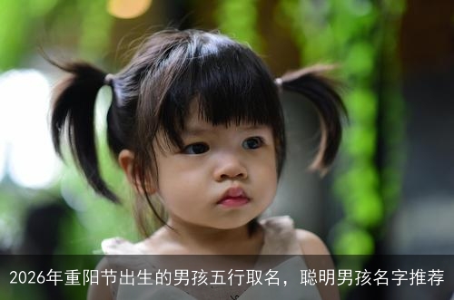 2026年重阳节出生的男孩五行取名，聪明男孩名字推荐