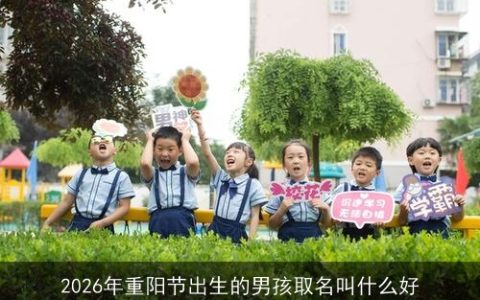 2026年重阳节出生的男孩取名叫什么好