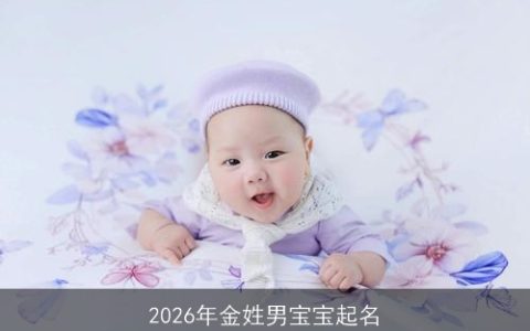 2026年金姓男宝宝起名
