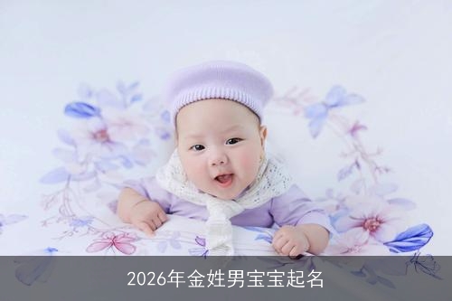 2026年金姓男宝宝起名