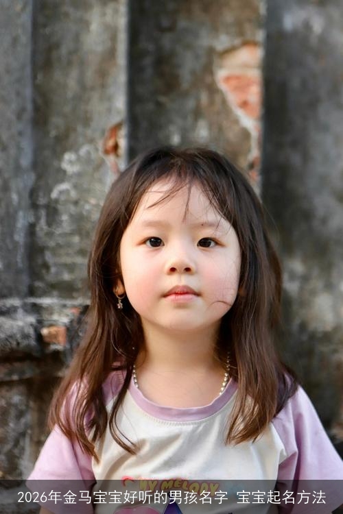 2026年金马宝宝好听的男孩名字 宝宝起名方法