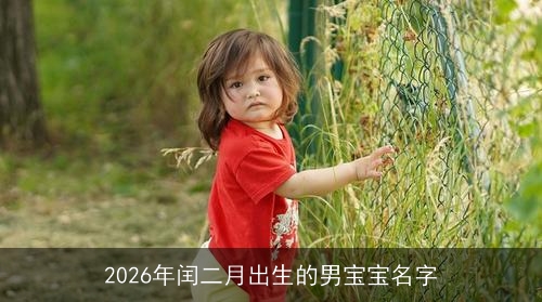 2026年闰二月出生的男宝宝名字