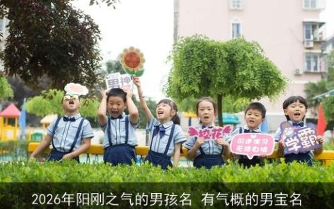 2026年阳刚之气的男孩名 有气概的男宝名