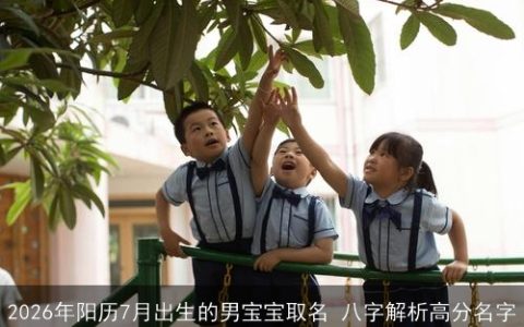 2026年阳历7月出生的男宝宝取名 八字解析高分名字