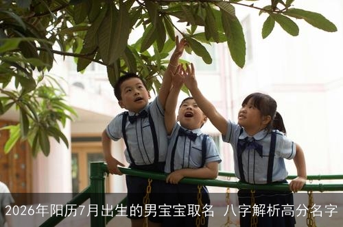 2026年阳历7月出生的男宝宝取名 八字解析高分名字