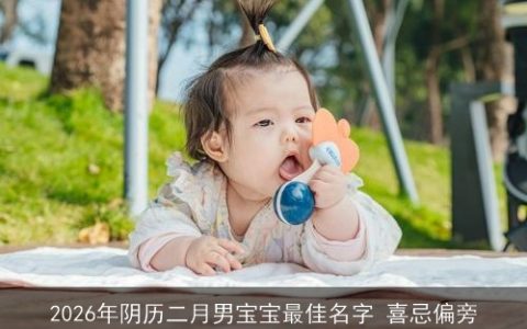 2026年阴历二月男宝宝最佳名字 喜忌偏旁