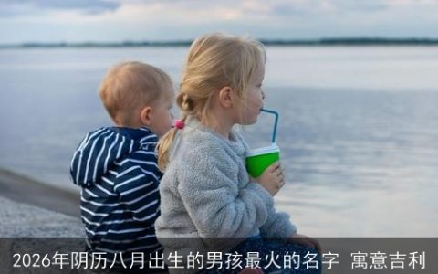 2026年阴历八月出生的男孩最火的名字 寓意吉利