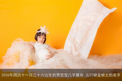 2026年阴历十一月二十六出生的男宝宝八字算命 五行缺金缺土的名字