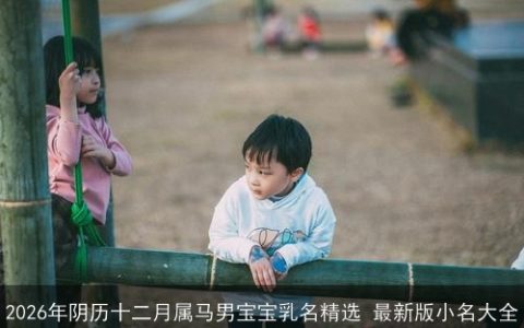 2026年阴历十二月属马男宝宝乳名精选 最新版小名大全