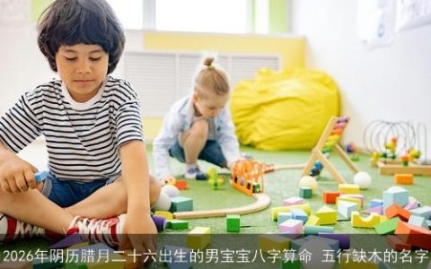 2026年阴历腊月二十六出生的男宝宝八字算命 五行缺木的名字