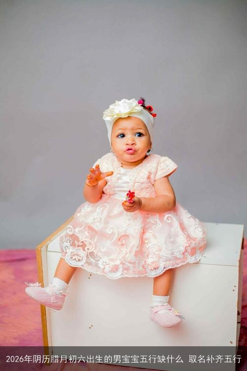 2026年阴历腊月初六出生的男宝宝五行缺什么 取名补齐五行