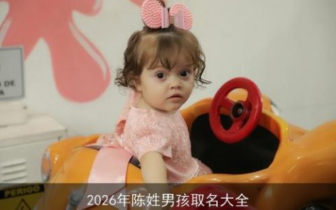 2026年陈姓男孩取名大全